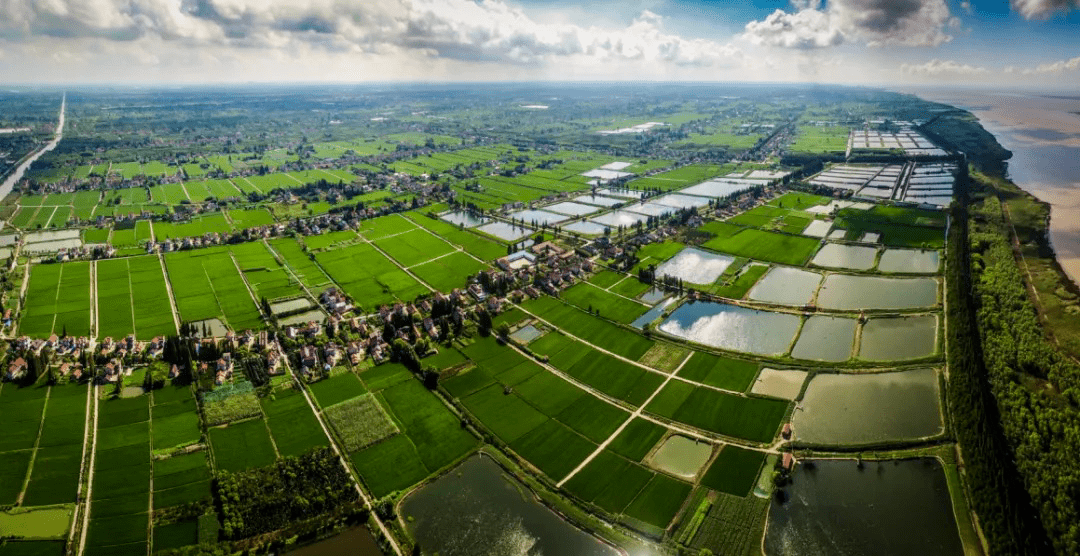 牛坊湿地最新消息，生态修复与发展新动向