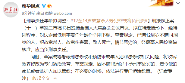 最新刑事责任年龄调整，聚焦12岁的界限与挑战