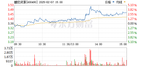 鹏欣资源重组最新情况