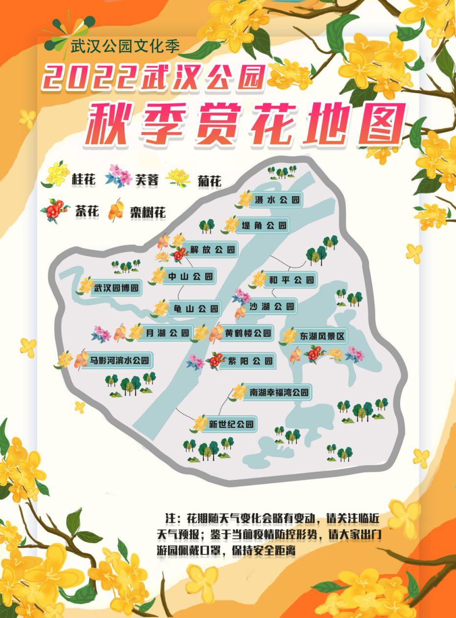 最新长沙市芙蓉区地图，探索城市发展的脉络